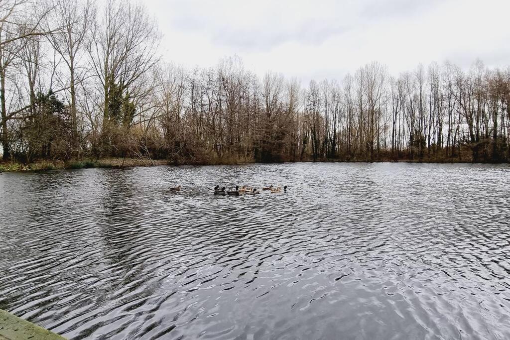 Вилла *L'Ecrin De L'Etang* Depaysement Assure Бурбур Экстерьер фото